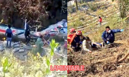 Bus de los transportes Camelia cae al fondo de un barranco en la Ruta Interamericana (Video)