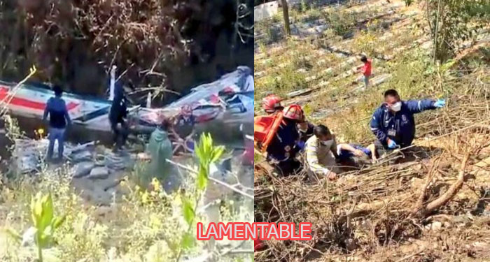 Bus de los transportes Camelia cae al fondo de un barranco en la Ruta Interamericana (Video)