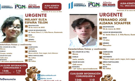 Dos niños desaparecieron en la garita de un residencial y familia pide ayuda