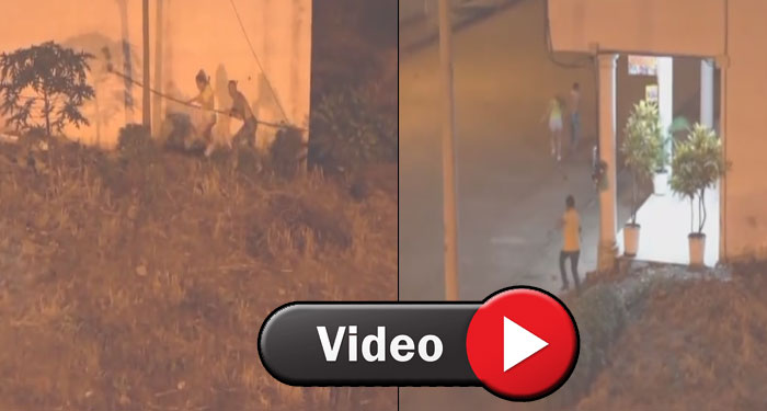 Cámaras de seguridad captaron a pareja en pleno acto (Video)
