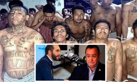 “Bukele ordena pena de muerte a mareros en Guatemala y manda mensaje a Giammattei”