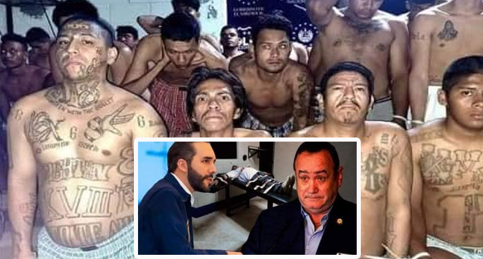 “Bukele ordena pena de muerte a mareros en Guatemala y manda mensaje a Giammattei”