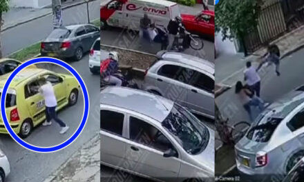 Momento en que ladrón roba las pertenencias de una mujer y es vapuleado (Video)