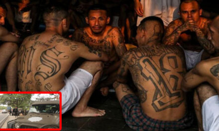 Peligrosos pandilleros huyen a Guatemala tras fuertes operativos de Bukele