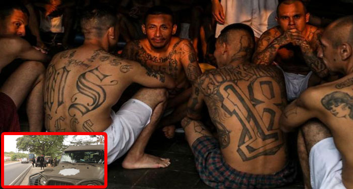 Peligrosos pandilleros huyen a Guatemala tras fuertes operativos de Bukele
