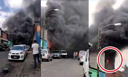URGENTE: Incendio de grandes proporciones en la zona 8 capitalina (Video)
