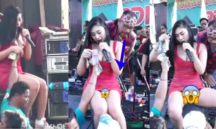 Mujer enseña de más al cantarle a sus fans en pleno concierto (Video)