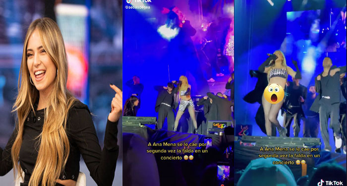 Cantante pierde la falda en pleno concierto y enseña de más al público (Video)