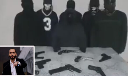 Pandilleros se pronuncian y señalan al Presidente Nayib Bukele de pactar con las maras (Video)
