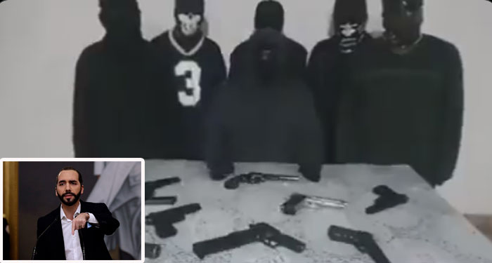 Pandilleros se pronuncian y señalan al Presidente Nayib Bukele de pactar con las maras (Video)