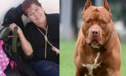 Rescatista de animales es brutalmente atacada por un pitbull