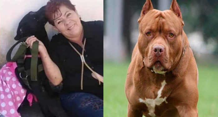 Rescatista de animales es brutalmente atacada por un pitbull