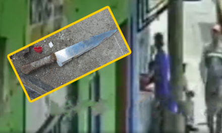 Momento en el que hombre apuñaló en el cuello a ladrón que le había robado el celular (Video)