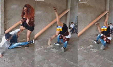 Pareja se va a los golpes y la mujer enseña de más en medio de la pelea (Video)