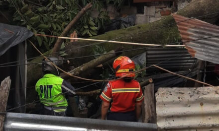 Personas quedan atrapadas al caer árbol sobre una vivienda en la zona 3