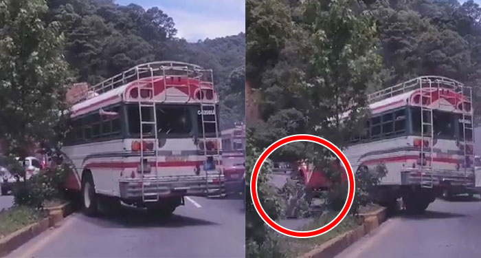 “Lo hace de nuevo” Bus extraurbano pasa sobre el arriate de la Interamericana y derriba árboles (Video)