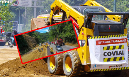 Las razones por las que eliminaron el arriate en la Ruta Interamericana