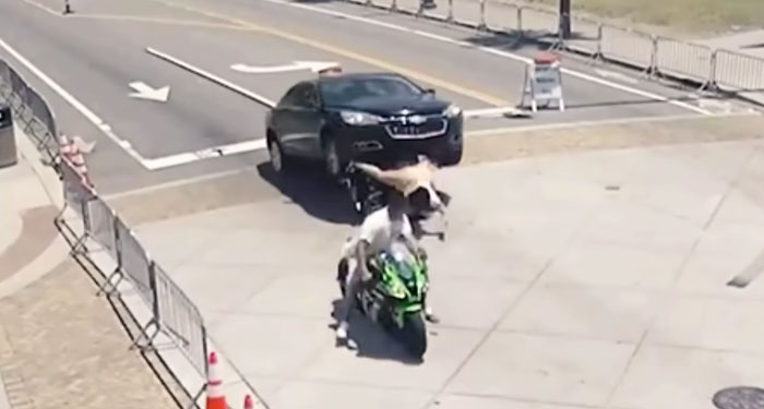 Momento en que vehículo le pasa las llantas encima a personas que iban en motocicleta (Video)