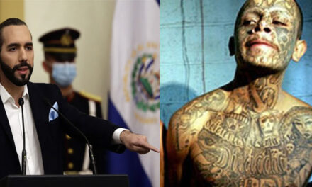 Bukele promete “Arreciar” guerra contra pandillas tras asesinato de 87 policías (Video)