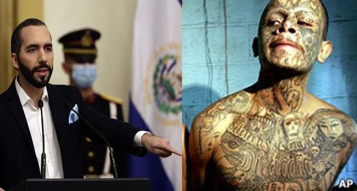 Bukele promete “Arreciar” guerra contra pandillas tras asesinato de 87 policías (Video)