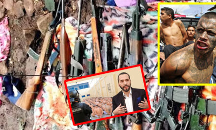 VIDEO: Nayib Buekele asegura que las pandillas intentan “Evolucionar” a una “Guerrilla”