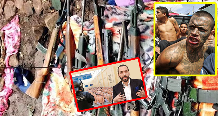 VIDEO: Nayib Buekele asegura que las pandillas intentan “Evolucionar” a una “Guerrilla”