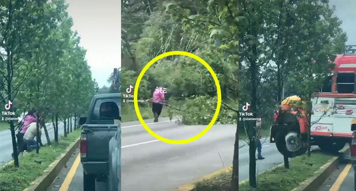 Ayudantes y pasajeros de bus cortan árboles de arriate en San Lucas para retornar (Video)
