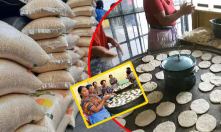 Debido al alza del maíz, las tortillas podrían costar 2 por Q1 (Video)