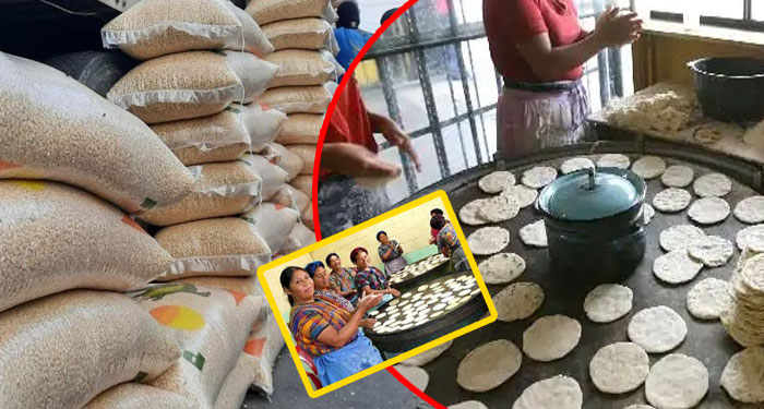 Debido al alza del maíz, las tortillas podrían costar 2 por Q1 (Video)