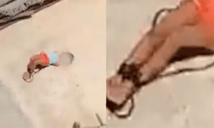 Madre amarra a su hija de 5 años bajo el sol, por no realizar la tarea (Video)