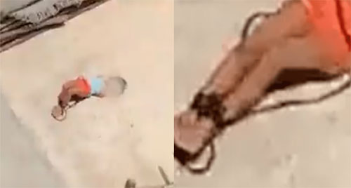 Madre amarra a su hija de 5 años bajo el sol, por no realizar la tarea (Video)