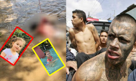 ¿Crees que existió mano criminal o fue caída accidental la muerte de Ellie Samara?