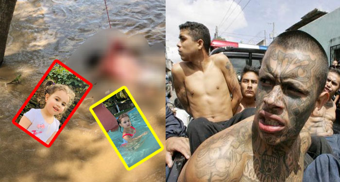 ¿Crees que existió mano criminal o fue caída accidental la muerte de Ellie Samara?