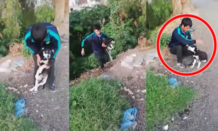 Momento en que joven ata a su perro con una cuerda y lo lanza a lo profundo de un río (Video)