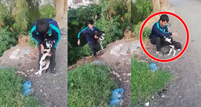 Momento en que joven ata a su perro con una cuerda y lo lanza a lo profundo de un río (Video)