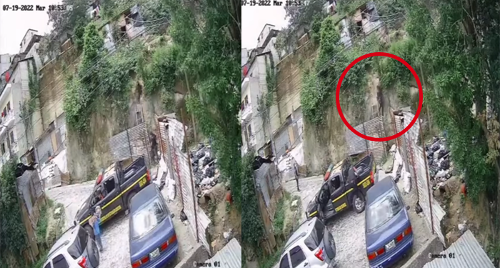 Momento exacto en que perro de raza pitbull muerde a un agente de la PNC en allanamiento (Video)