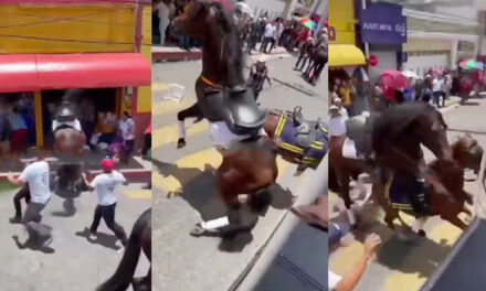CHIQUIMULA. Caballos se salen de control durante desfile hípico (Video)