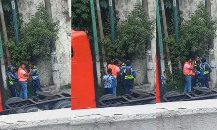 Momento en que chofer de cabezal golpea brutalmente a agente de la PMT (Video)