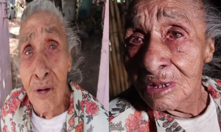 “Ya estoy cerca del panteón” Abuelita llora tras el abandono de sus 16 hijos (Video)