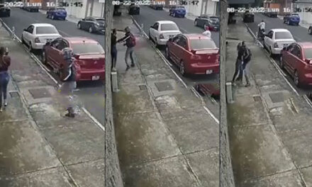 Momento en que motoladrones asaltan a una mujer en una colonia zona 15 (Video)