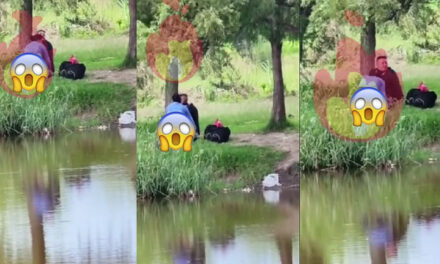 Momento en que pareja es captada manteniendo relaciones en la vía pública (Video)