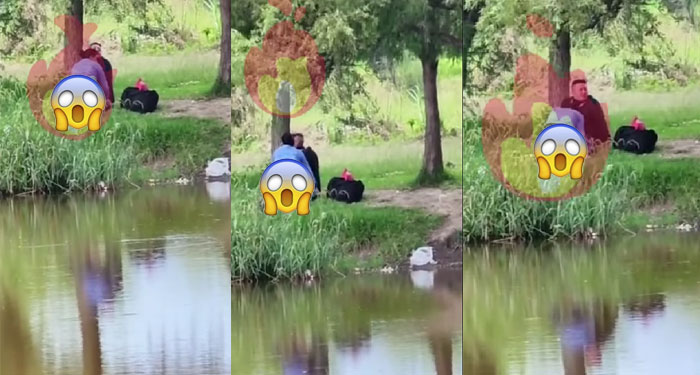 Momento en que pareja es captada manteniendo relaciones en la vía pública (Video)