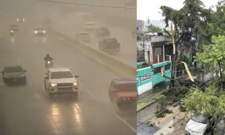 Árboles caídos por las fuertes lluvias paralizado el tránsito en la ciudad de Guatemala (Video)