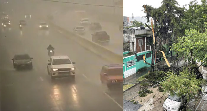 Árboles caídos por las fuertes lluvias paralizado el tránsito en la ciudad de Guatemala (Video)