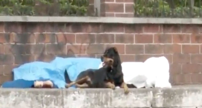 Hombre es asesinado a balazos cuando paseaba a su perro (Video)