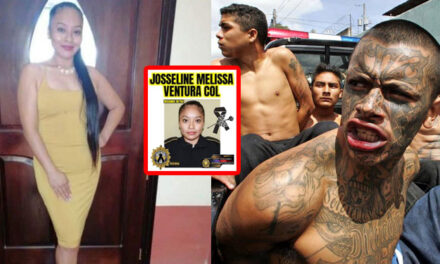 El Ministro de Gobernación lamenta la muerte de la Agente asesinada en Petén