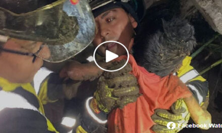 Paredón se desploma y menores quedan soterrado en la zona 3 capitalina (Video)