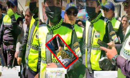 Momento en que PMT le tiran su venta de aguacates a una anciana que vendía en la calle (Video)