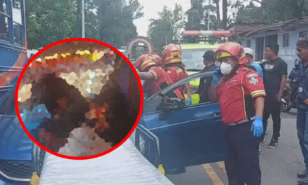 ¡URGENTE! Familia sufre emboscada en la zona 7 capitalina, al menos seis muertos (Video)