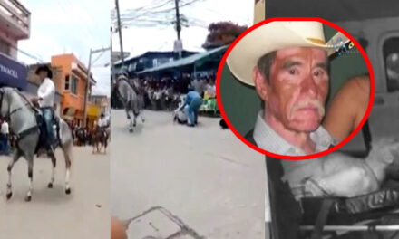 Hombre muere minutos después de caer de un caballo en desfile Hípico (Video)